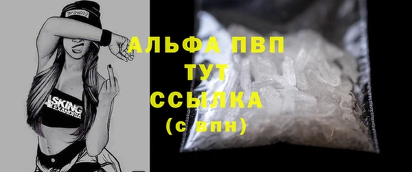 дживик Надым